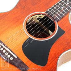 Eastman PCH2-GACE-CLA_11