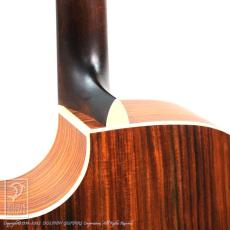 Eastman PCH2-GACE-CLA_13