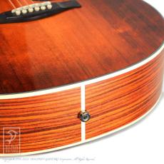 Eastman PCH2-GACE-CLA_14