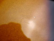 Fender Made in Japan Traditional 50s Stratocaster 2-Color Sunburst_11