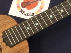 KoAloha Pikake KCM-10 UPT Satin Finish Koa Concert w/ Ebony Bridge and Fretboard Ukulele #5505_3