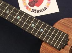 KoAloha Pikake KCM-10 UPT Satin Finish Koa Concert w/ Ebony Bridge and Fretboard Ukulele #5505_7