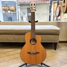 aNueNue N520AC(AUTUMN CEDAR)