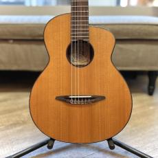 aNueNue N520AC(AUTUMN CEDAR)_2