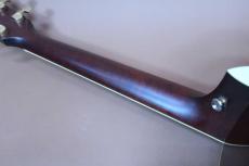 Taylor GS-5 / One Owner・Solid Western Red Cedar Top・Solid Tropical American Mahogany Side and Back・Abalone Rosette・Ebony Fingerboard and Bridge・Gloss Finish【With Original Case】2007年製_12