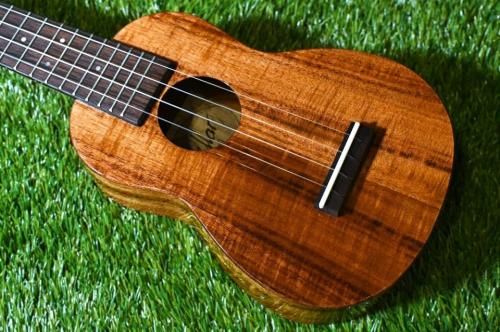 millar TA-210LG SopranoLongneck