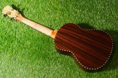 millar BR-260WG Tenor_4