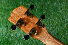 millar BR-260WG Tenor_6