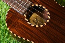 millar BR-260WG Tenor_9