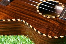 millar BR-260WG Tenor_10