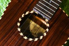 millar BR-260WG Tenor_11