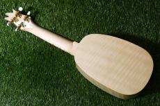 Famous FS-S10 P/N Soprano_4