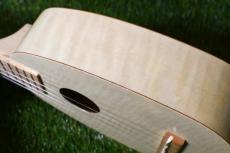 Famous FS-S10 P/N Soprano_13