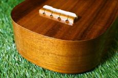 Famous FS-4PG Soprano Pineapple_11