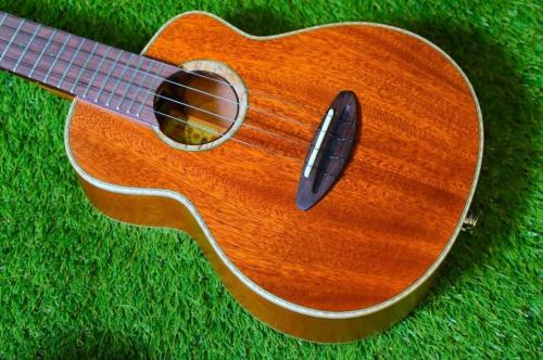 aNueNue UC110E GREEN BIRD Concert