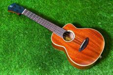 aNueNue UC110E GREEN BIRD Concert_2