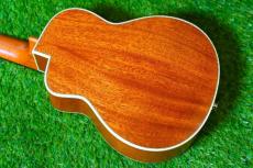 aNueNue UC110E GREEN BIRD Concert_3