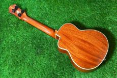 aNueNue UC110E GREEN BIRD Concert_4