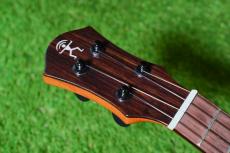 aNueNue UC110E GREEN BIRD Concert_5
