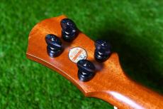 aNueNue UC110E GREEN BIRD Concert_6