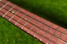 aNueNue UC110E GREEN BIRD Concert_7
