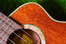 aNueNue UC110E GREEN BIRD Concert_10