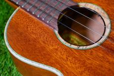 aNueNue UC110E GREEN BIRD Concert_11