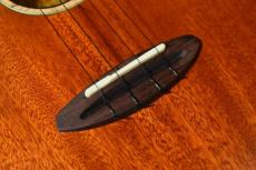 aNueNue UC110E GREEN BIRD Concert_12