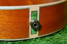 aNueNue UC110E GREEN BIRD Concert_13
