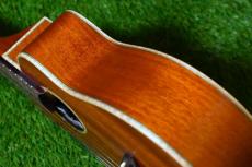 aNueNue UC110E GREEN BIRD Concert_14
