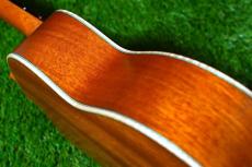 aNueNue UC110E GREEN BIRD Concert_15