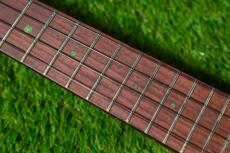 aNueNue UC110E GREEN BIRD Concert_16