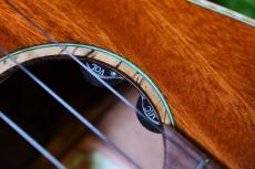 aNueNue UC110E GREEN BIRD Concert_17