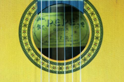 ＰＥＰＥ P-55(550mm)　杉/ローズウッド