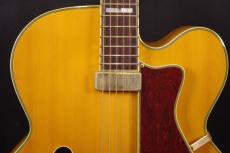 Epiphone EMPEROR_8