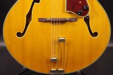 Epiphone EMPEROR_9