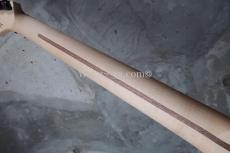 Charvel USA Custom Shop Warren De Martini/ Signature / SnakeSkin Graphic　(1)_6