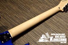 Edwards E-ZUKAPPER【GRANRODEO e-ZUKA氏シグネチャー】_5