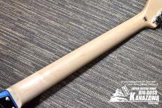 Edwards E-SNAPPER-AL/R 【最新の万能機種】_5