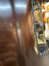 Landscape SWB-Artist_10