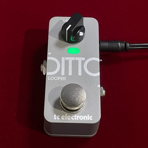 tc electronic DITTO 2 LOOPER 【正規輸入品】【新モード&新開発アルゴリズム】【未展示在庫】