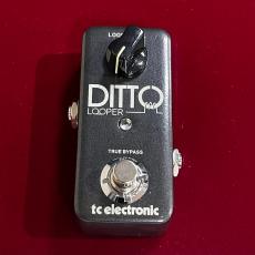 tc electronic DITTO LOOPER 【正規輸入品】