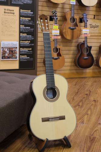 ASTURIAS Tsuji S-2/S 650mm【国産】【オール単板】