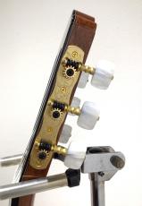 ASTURIAS CUSTOM C(650)スーパーライトケースセット_8