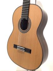 ASTURIAS CUSTOM C(650)