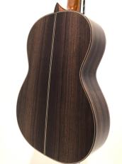 ASTURIAS CUSTOM C(650)_5