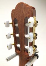 ASTURIAS CUSTOM C(650)_6