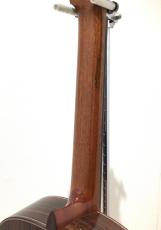 ASTURIAS CUSTOM C(650)_7