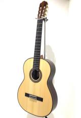 ASTURIAS CUSTOM S(650)_2