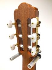 ASTURIAS CUSTOM S(650)_7